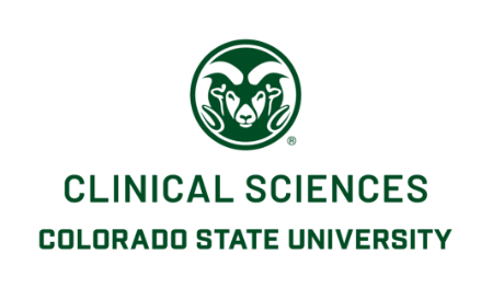 Picture for category Department of Clinical Sciences