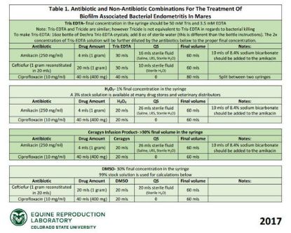 Picture of Biofilm Therapy Poster