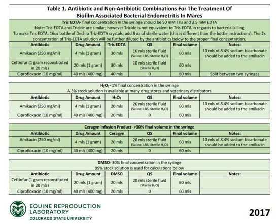 Picture of Biofilm Therapy Poster