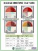 Picture of Equine Uterine Culture Poster