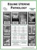 Picture of Equine Uterine Pathology Poster