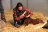 Picture of Foaling And Foal Care - Online Course