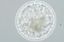 Picture of Equine Embryo Transfer - Online Course