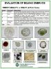 Picture of Embryo Evaluation (Quality Grade) Poster