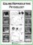 Picture of Equine Reproductive Physiology Poster