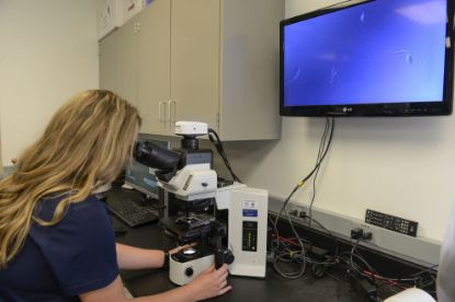 Picture of Sept. 17-18, 2026 Equine Reproduction "Boot Camp" DVM Only