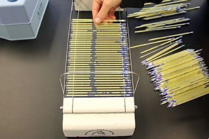 Picture of Sept. 15, 2026 Freezing, Handling & Storage of Stallion Semen; Laboratory Session Only