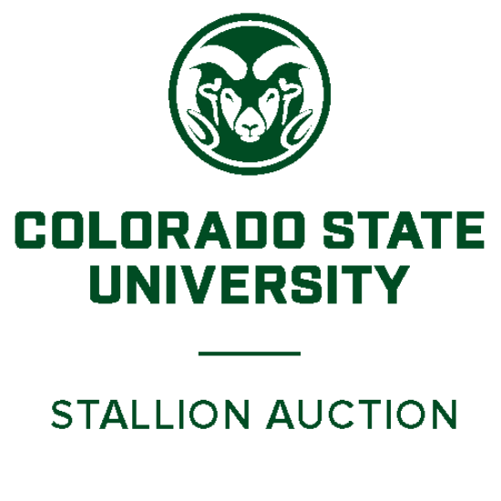 Picture of Stallion Auction Payments  